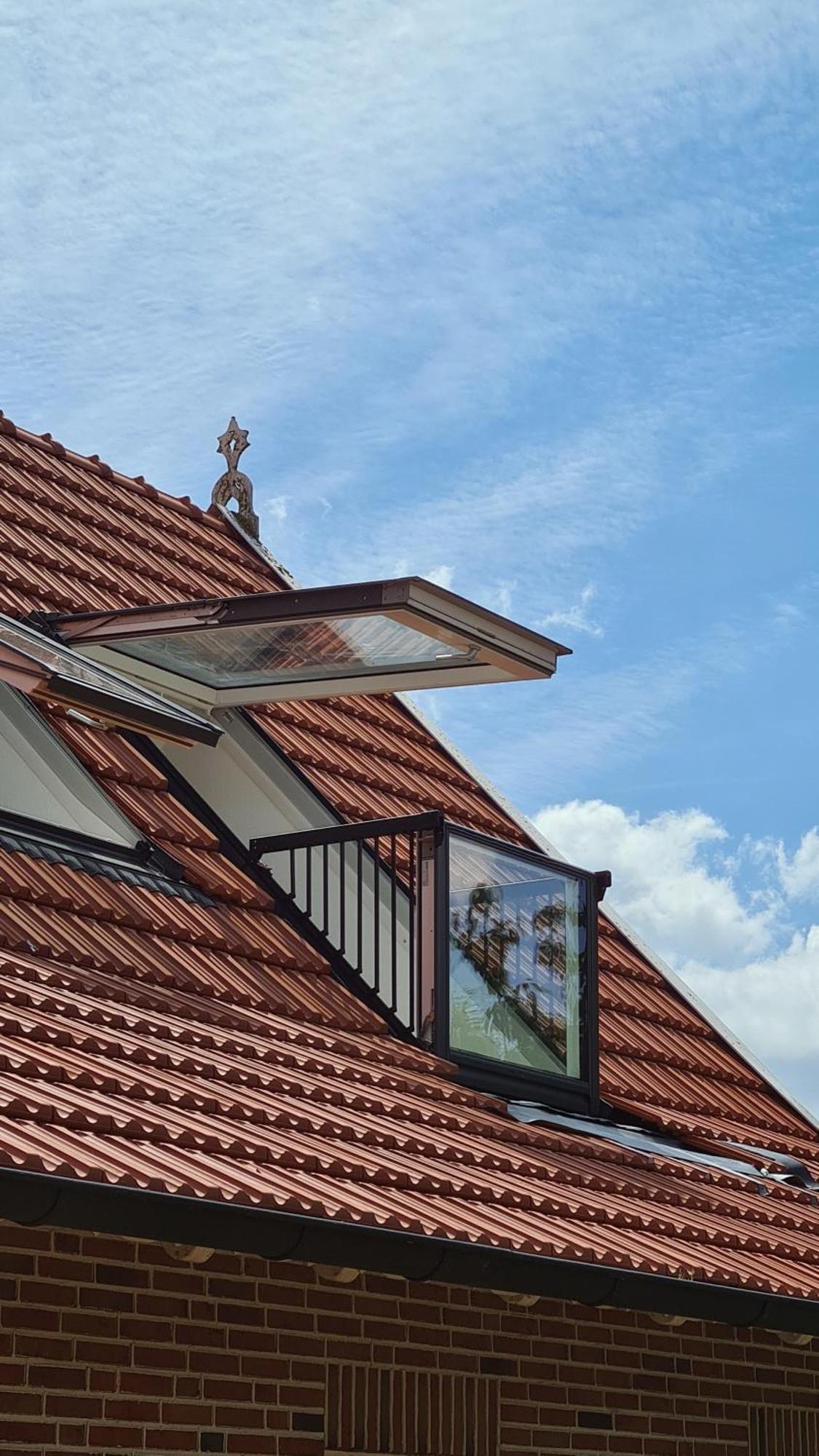 Naturhof Buschwiesen - Wohnung Lama Wilsum Esterno foto